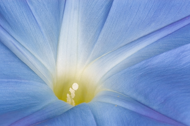 Slideshow